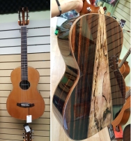 Tanglewood Guitars Java Series on sale in Vancouver Canada at Basone